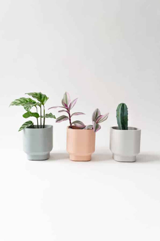 Charlie planter/ theelichthouder - Ø 7 cm - pearl grey | House Raccoon - de inKijk