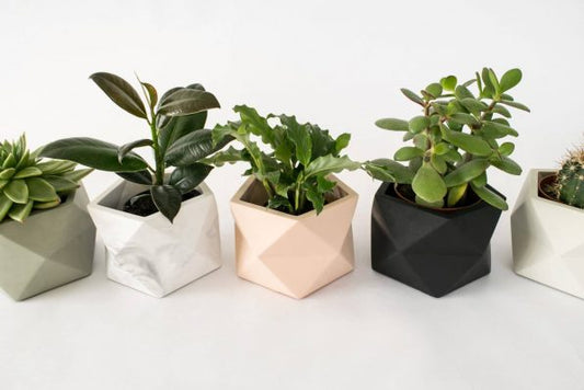 Palua planter - Ø 5,5 cm - white marble | House Raccoon - de inKijk