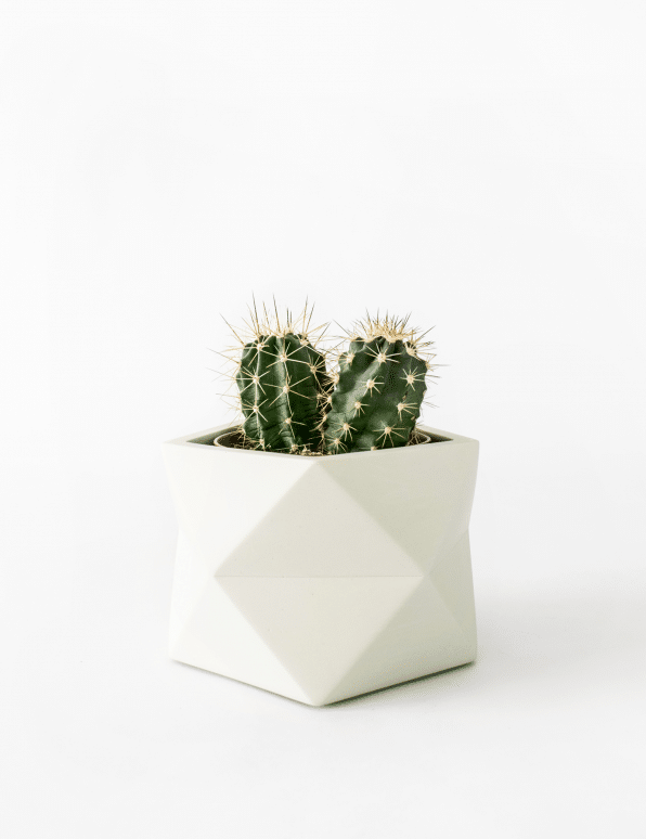 Palua planter - Ø8,5cm - silver green | House Raccoon - de inKijk