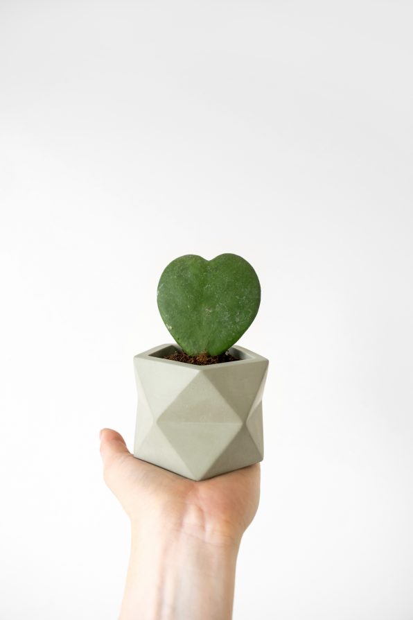 Palua planter - Ø 5,5 cm - olive green | House Raccoon