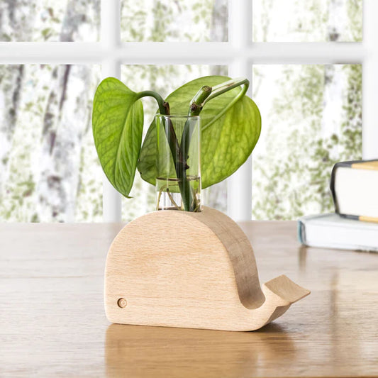 Kweekvaas - walvis | Kikkerland - de inKijk