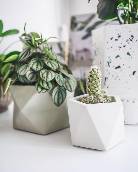 Palua planter - Ø8,5cm - olive green | House Raccoon - de inKijk