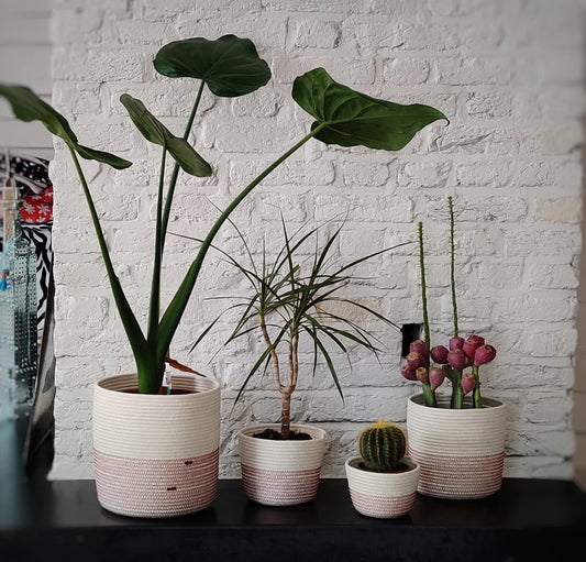 Planters - Ecru Bordeaux - XS/S/M | Koba Handmade - de inKijk