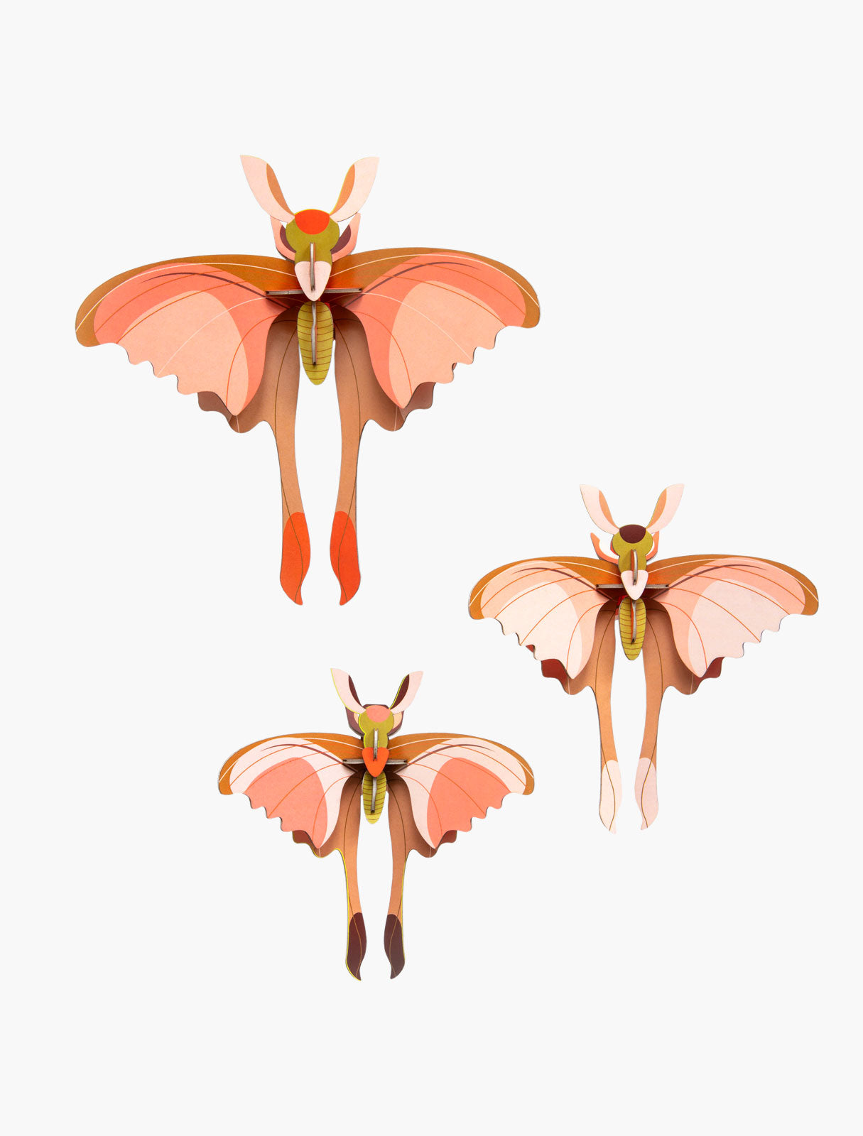 Comet butterflies - set v.3 - muurdecoratie | Studio Roof
