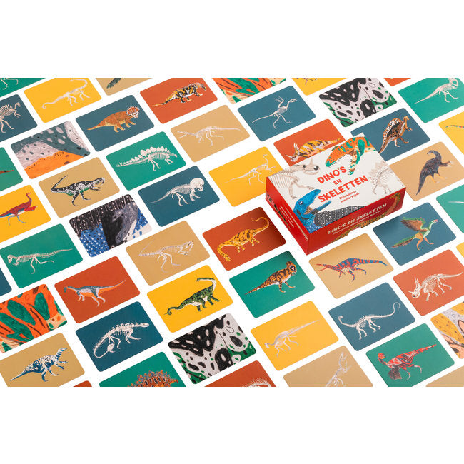 Dino's en Skeletten | BISpublishers - de inKijk