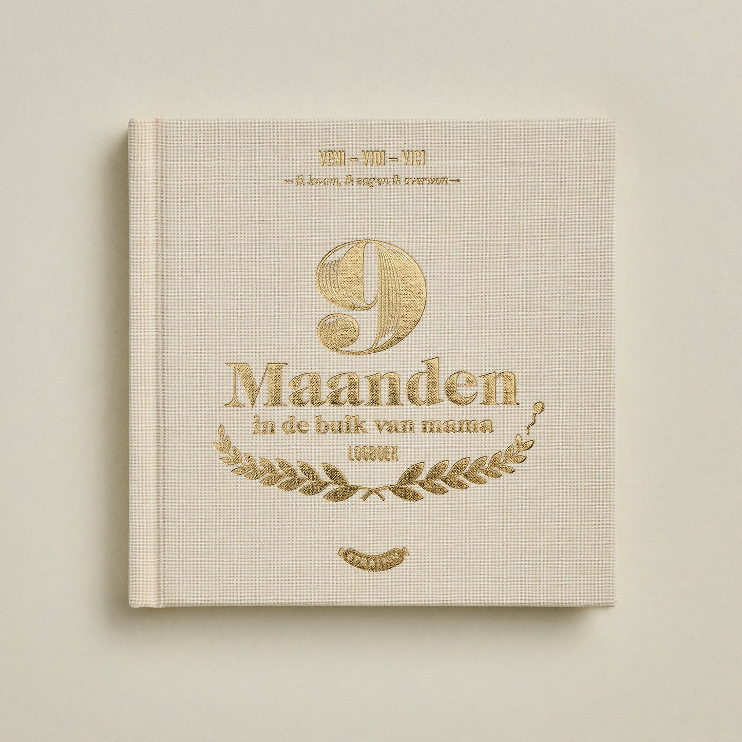 9 maanden logboek | Stratier - de inKijk