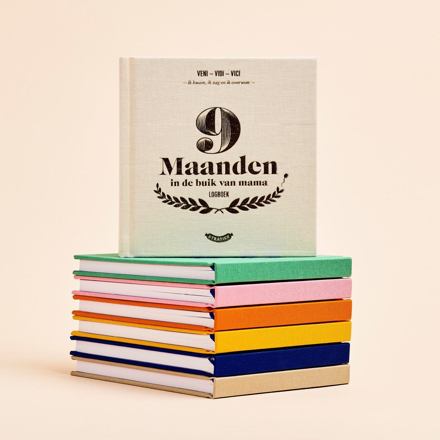 9 maanden logboek | Stratier - de inKijk