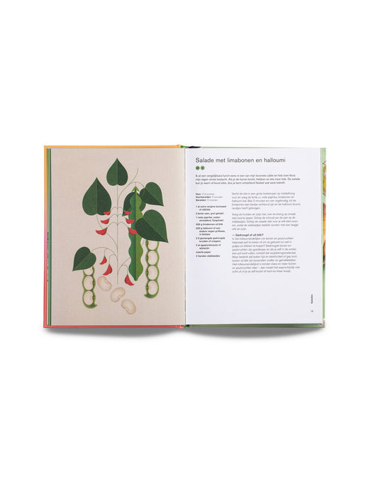 De groene lunchbox | BISpublishers - de inKijk