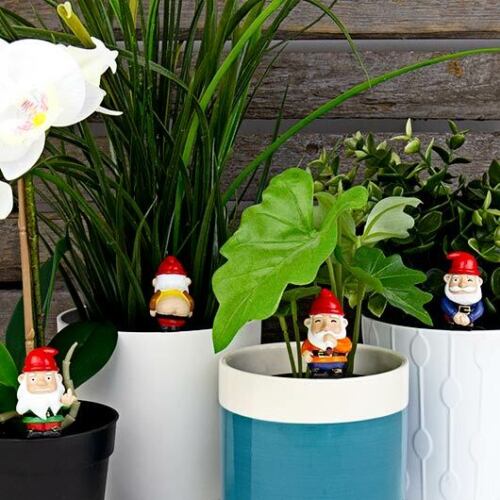 Naughty gnomes - kabouters voor in plantenpot | Gift Republic