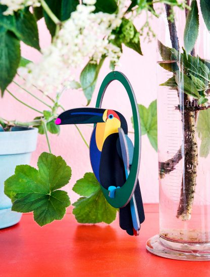 Swinging Toucan, pop-out card | Studio Roof