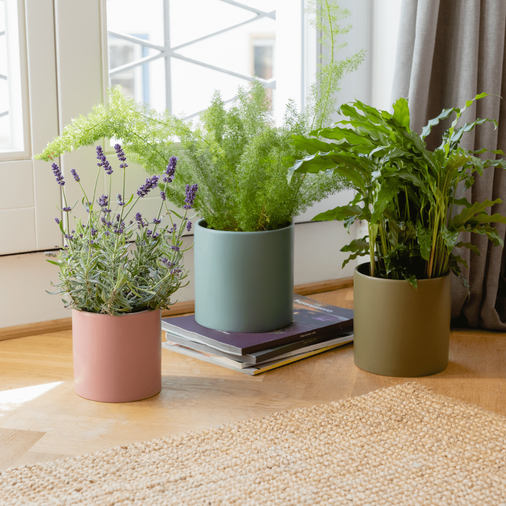 Turin plantenpotjes, set v. 3 | Remember - de inKijk