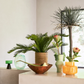 Vase circulo - pale green | Urban Nature Culture - de inKijk