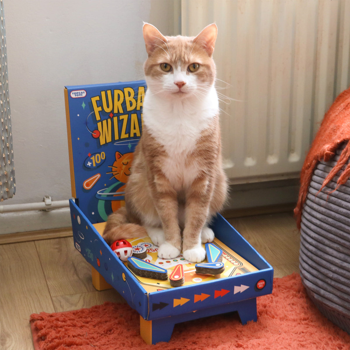 Cat Pinball Scratch Toy | Suck UK