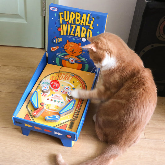 Cat Pinball Scratch Toy | Suck UK