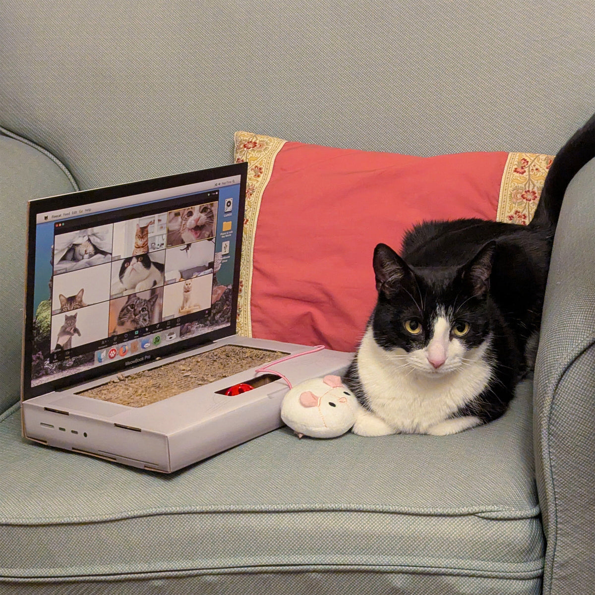 Cat Laptop Scratch Toy | Suck UK