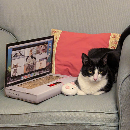 Cat Laptop Scratch Toy | Suck UK