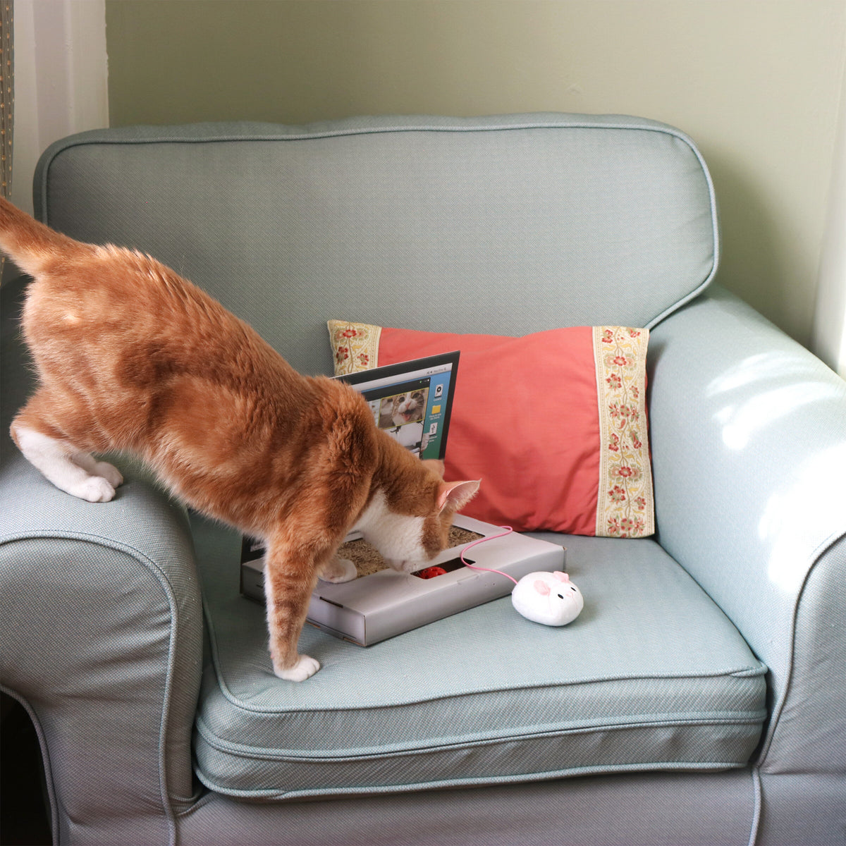 Cat Laptop Scratch Toy | Suck UK