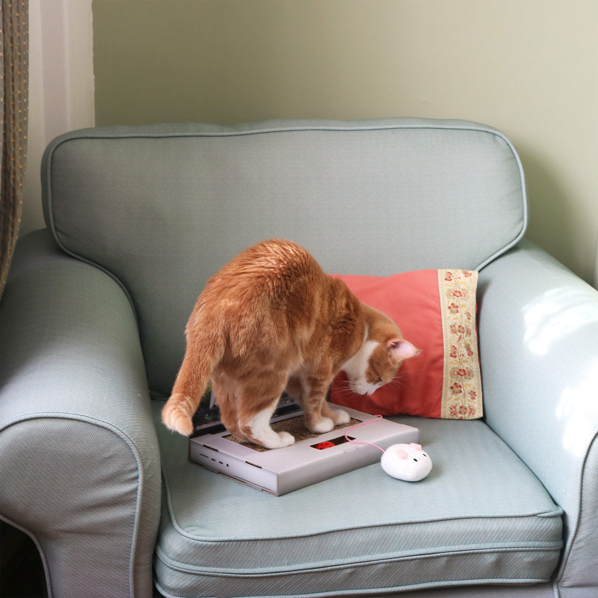 Cat Laptop Scratch Toy | Suck UK