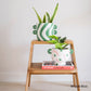 Plant Pot Felipe - baila bella | Que Rico - de inKijk
