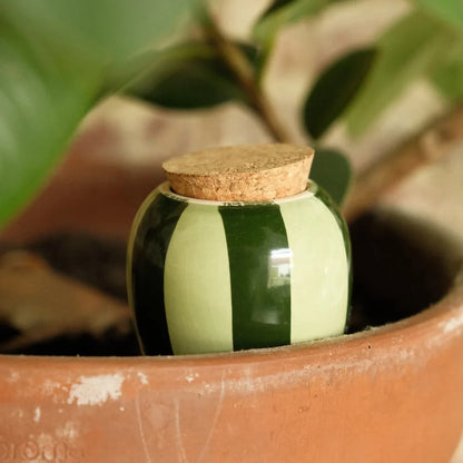 Hydrating Olla - Green and Green Stripes | Pepin.