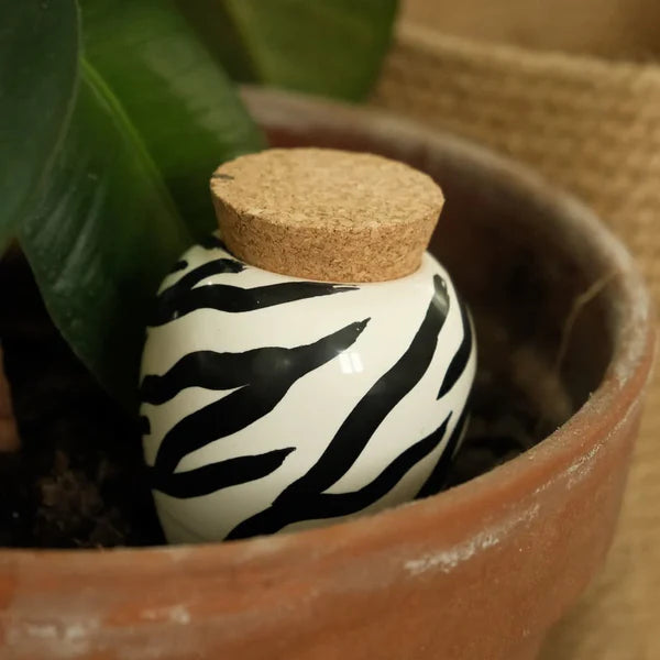 Hydrating Olla - Zebra | Pepin.