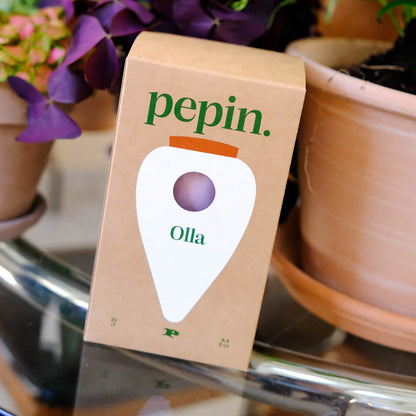 Hydrating Olla - Green and Lila striped | Pepin