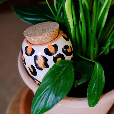 Hydrating Olla - Leopard | Pepin.