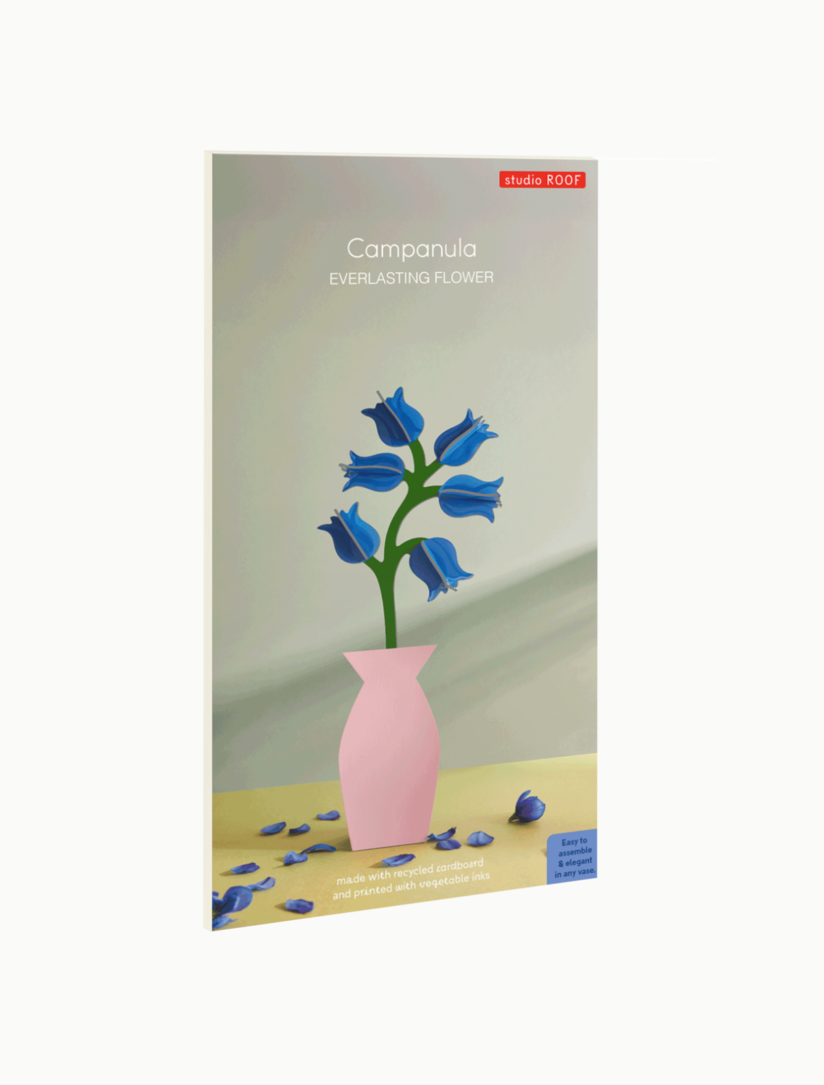 Campanula - everlasting flower | Studio Roof