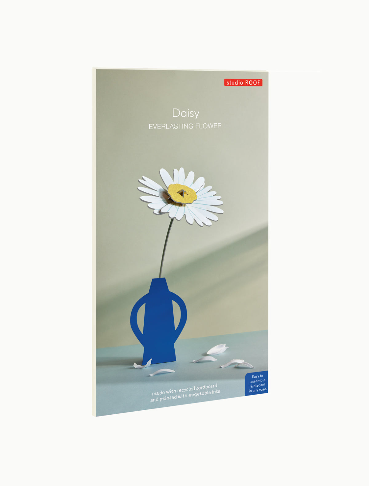 Daisy - everlasting flower | Studio Roof