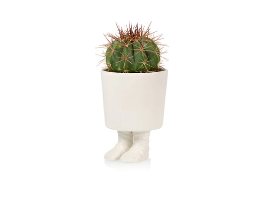 Gladiator sandal planter -  large | Bitten design - de inKijk