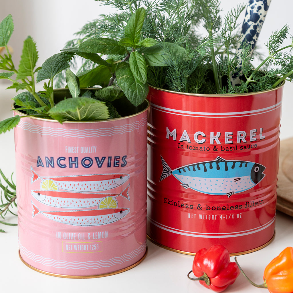 Medium storage tins - set of 2 - fish | Rex