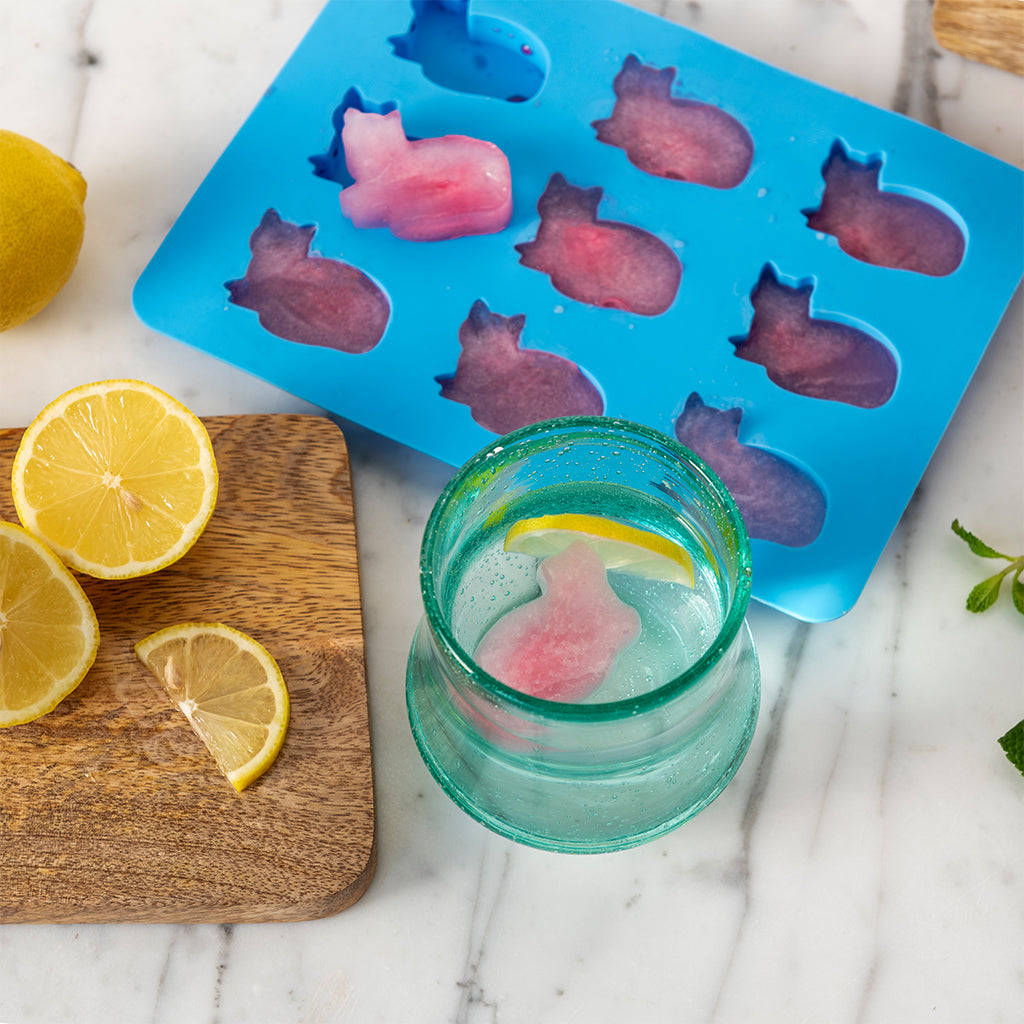 Ice cube tray - kitty cat | Rex