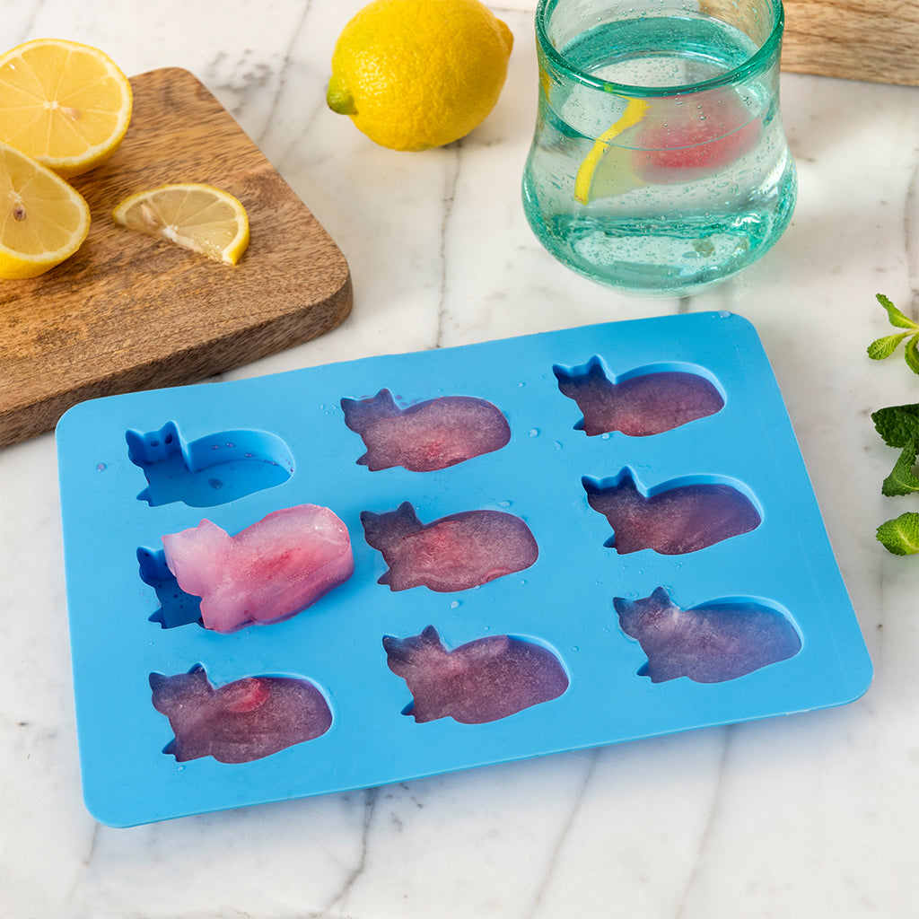 Ice cube tray - kitty cat | Rex