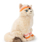 Dolly the Ragdoll | B.T.Chaps
