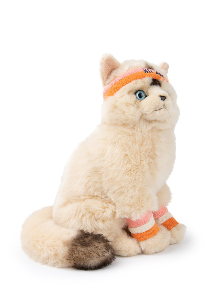 Dolly the Ragdoll | B.T.Chaps