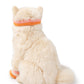 Dolly the Ragdoll | B.T.Chaps