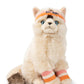 Dolly the Ragdoll | B.T.Chaps