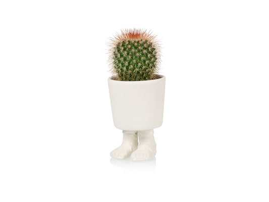 Gladiator sandal planter -  small | Bitten design