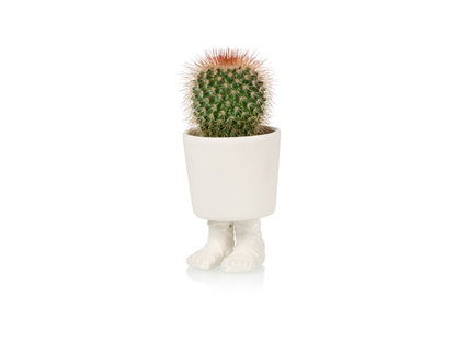 Gladiator sandal planter -  small | Bitten design - de inKijk