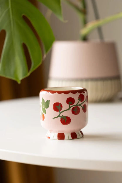 Ceramic candle tomato vine 8 oz - heirloom tomato | Paddywax - de inKijk