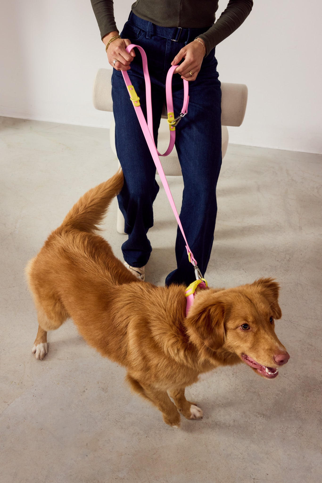 The Fritz Leash - Choco Blue | Approved by Fritz