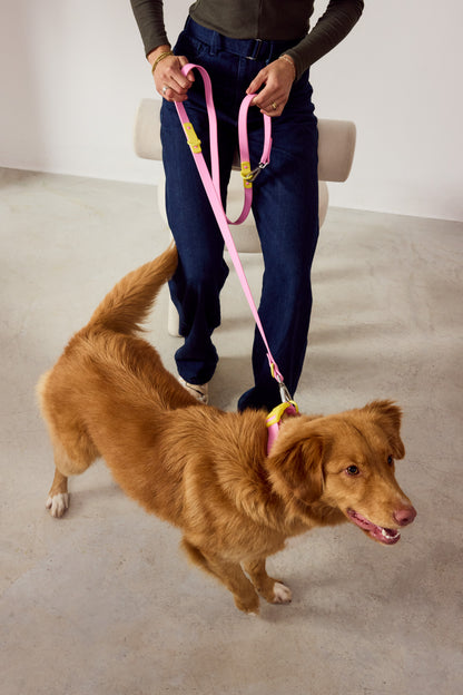 The Fritz Leash - Choco Blue | Approved by Fritz