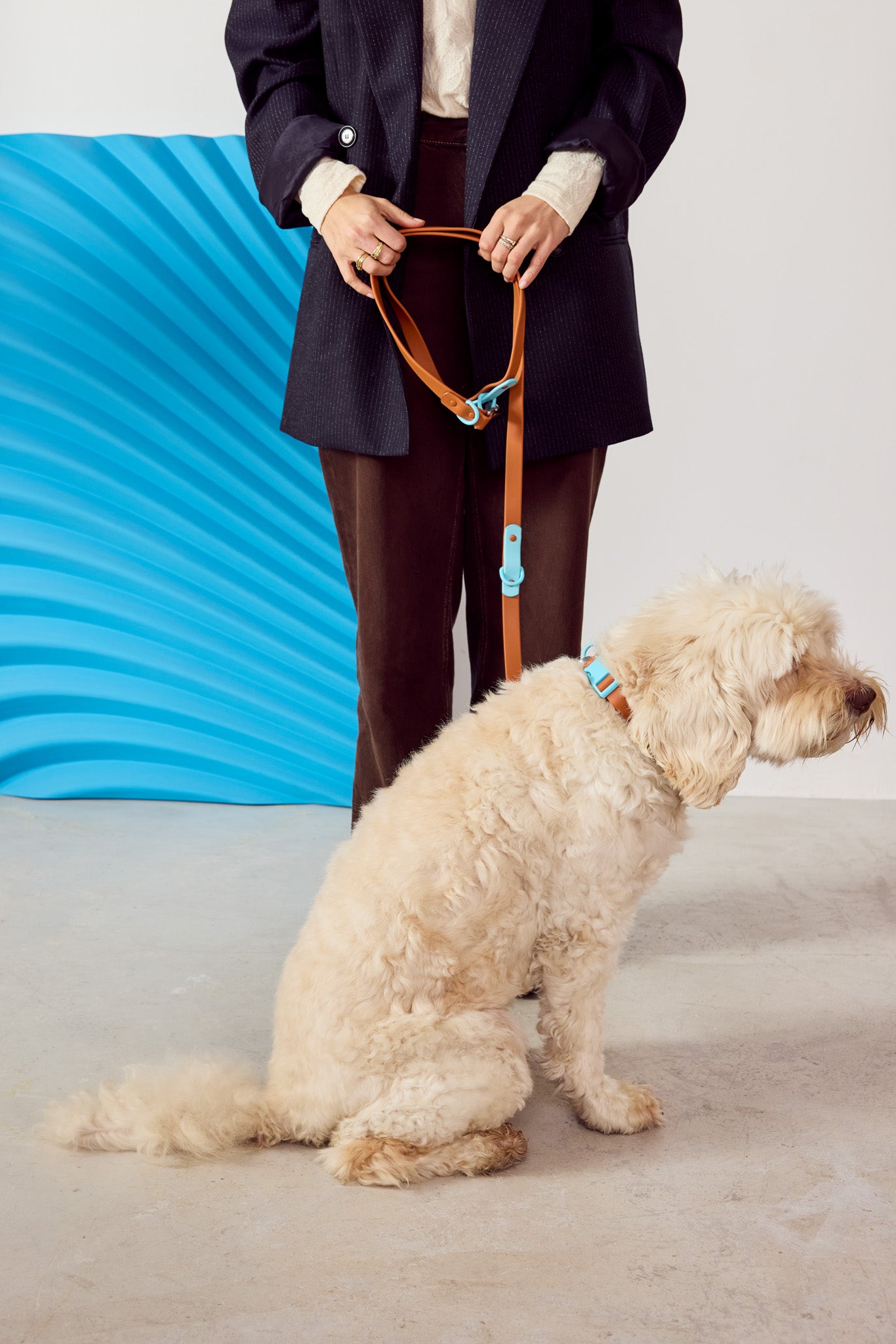The Fritz Leash - Choco Blue | Approved by Fritz