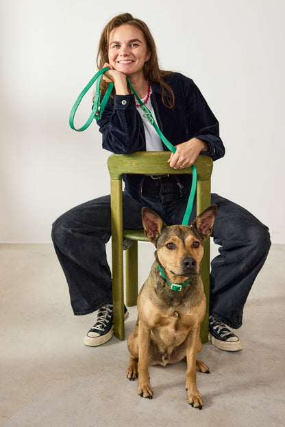 The Fritz Collar - Liberty Green - S/M/L | Approved by Fritz