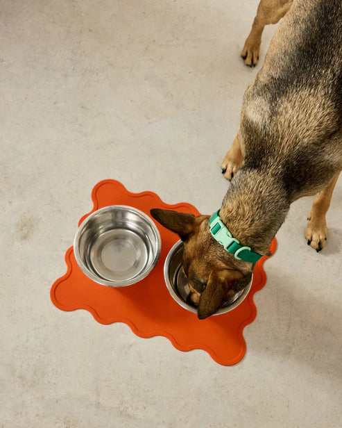 The Fritz Bowl Mat - Orange Zest - Standard | Approved by Fritz