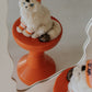 Dolly the Ragdoll | B.T.Chaps