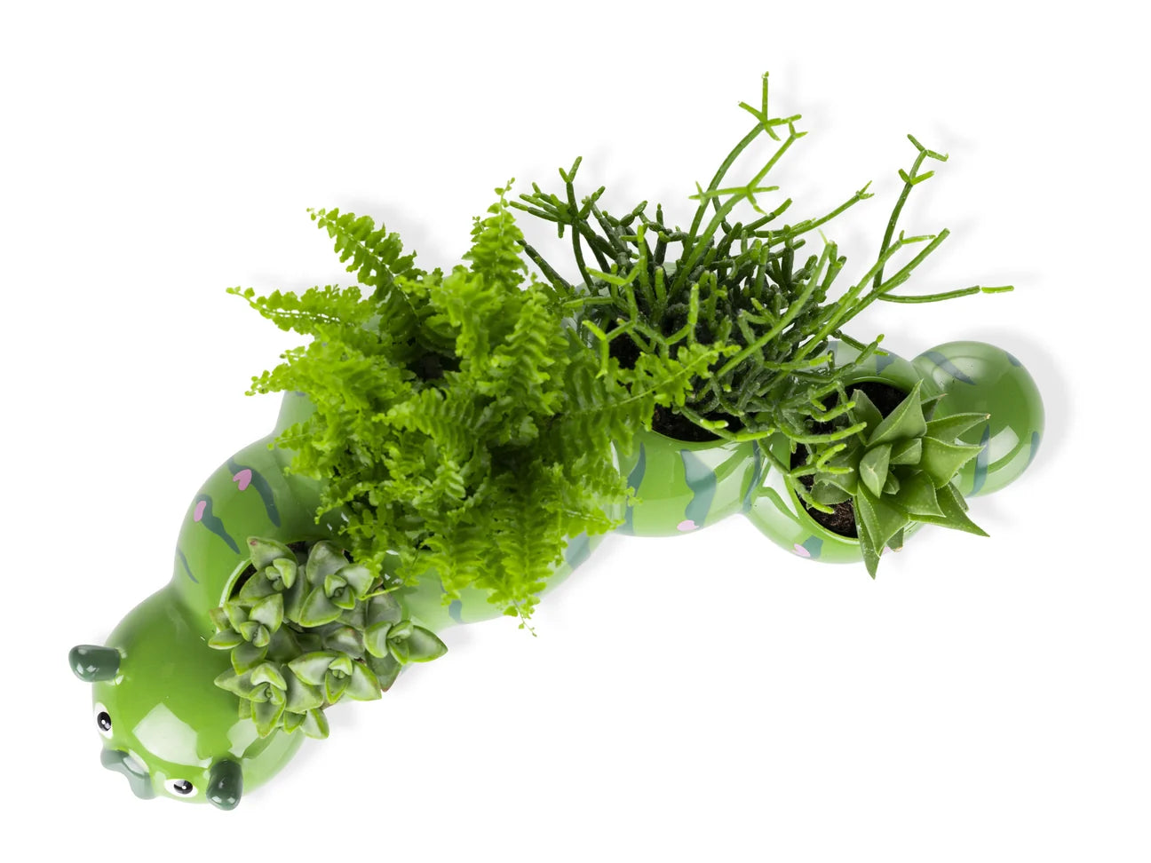 Caterpillar Planter | Bitten design