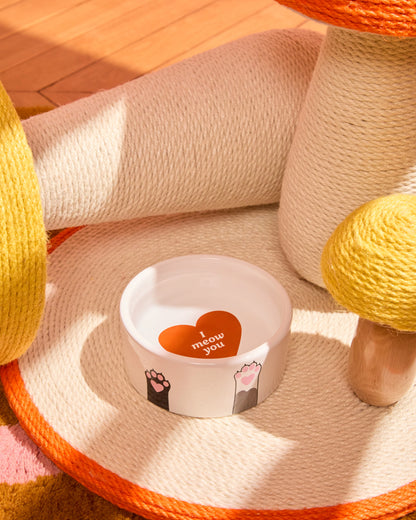 Cat Bowl | Fluid market