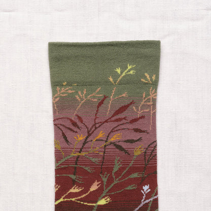 Sokken - Cedar Grasses | Bonne Maison