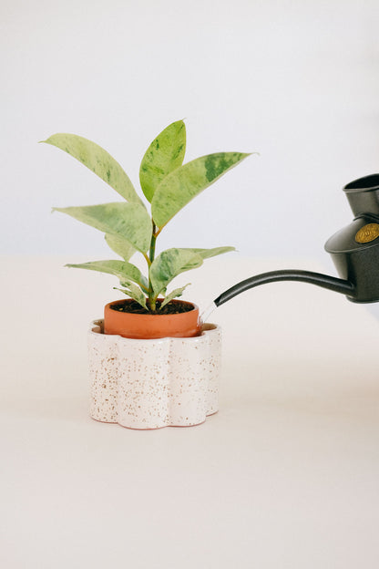 Paula self-watering pot - White Speckled | Pepin.